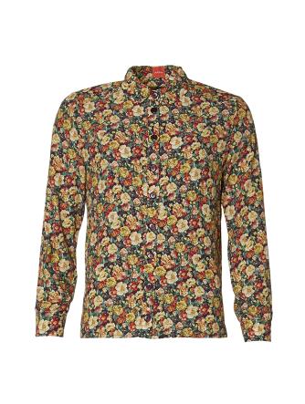 Northern Light duAlberta